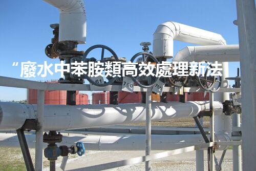 “廢水中苯胺類高效處理新法，環(huán)保先鋒引領(lǐng)綠色以后”